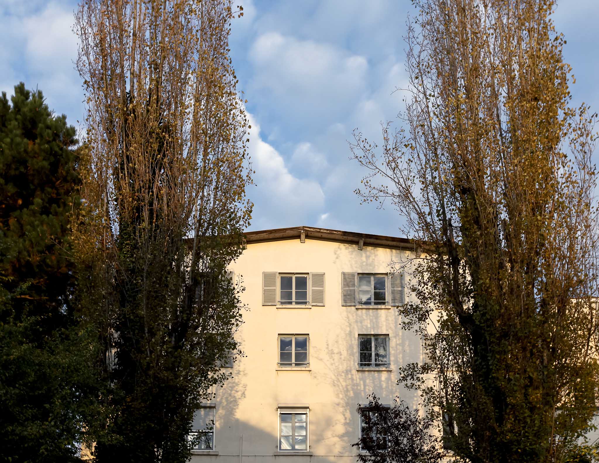 façade Croisée