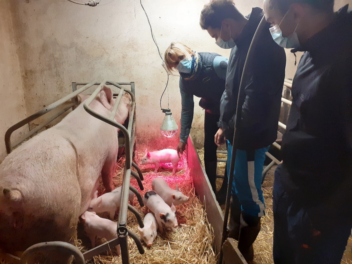Ferme