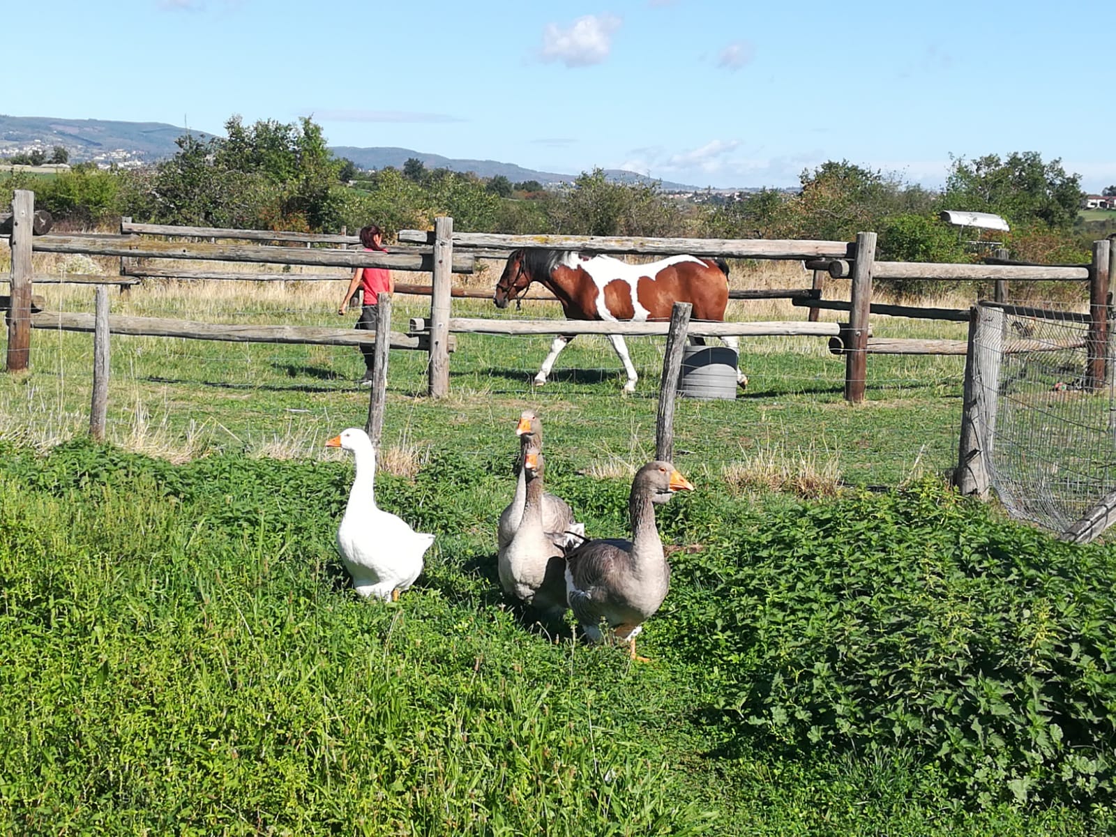 Ferme Verchery 2