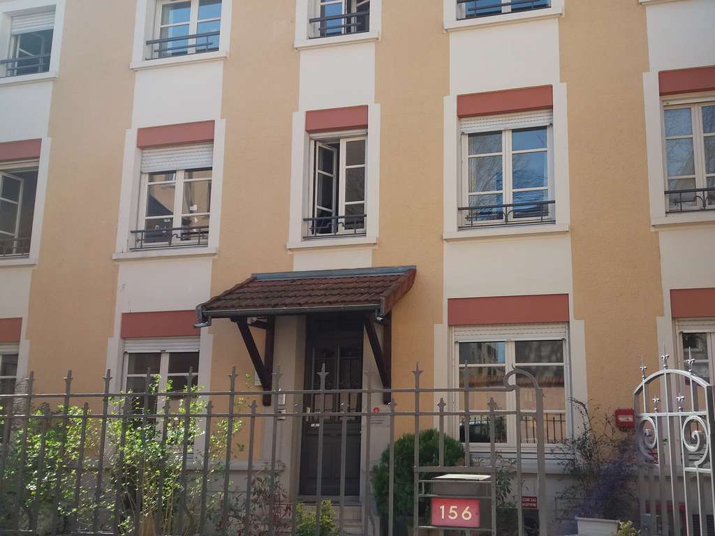 peupliers-4