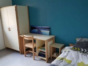 peupliers-5-300x225